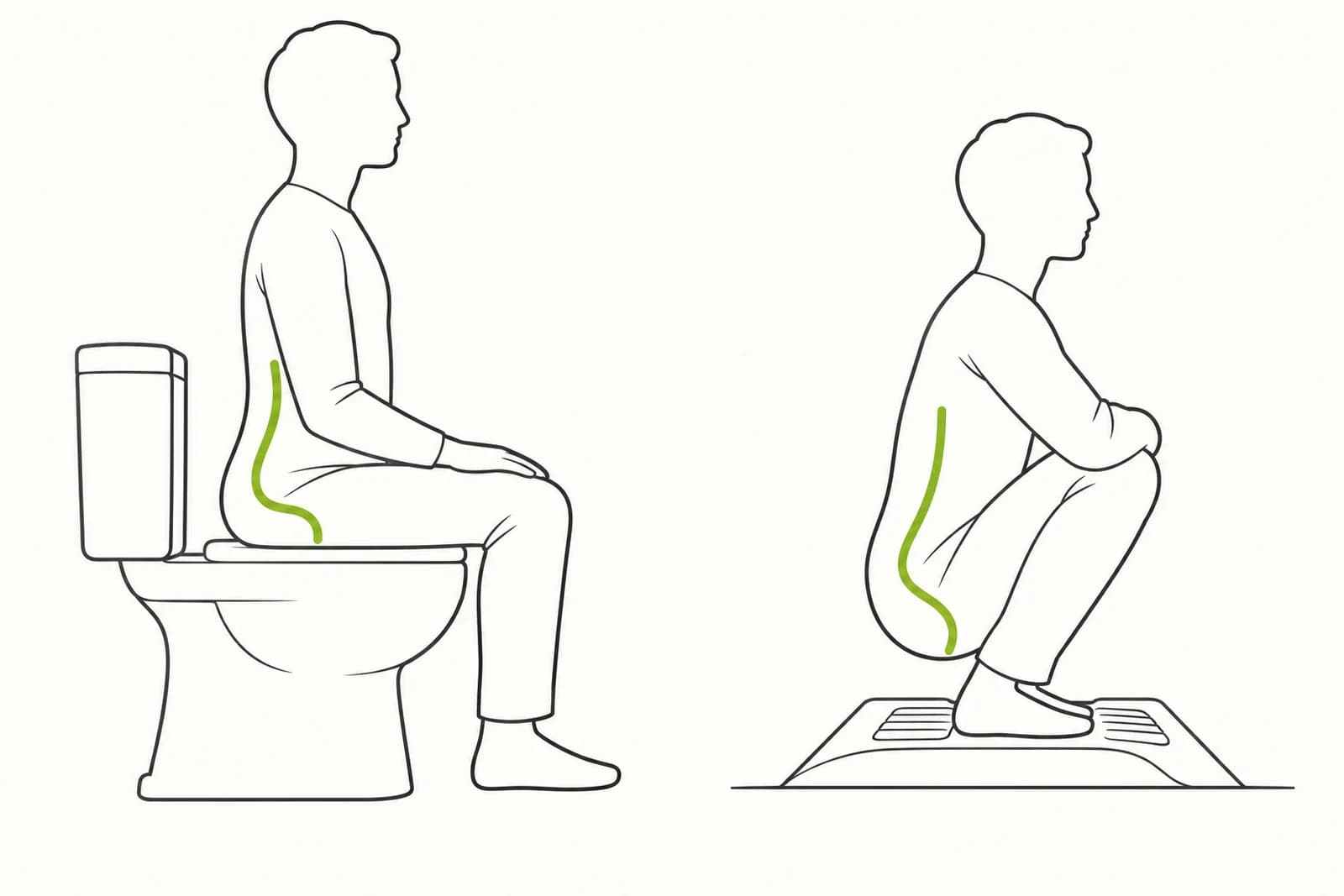 Side-by-side line drawings of a person sitting upright on a Western toilet and a person squatting, with a green line tracing the lower back