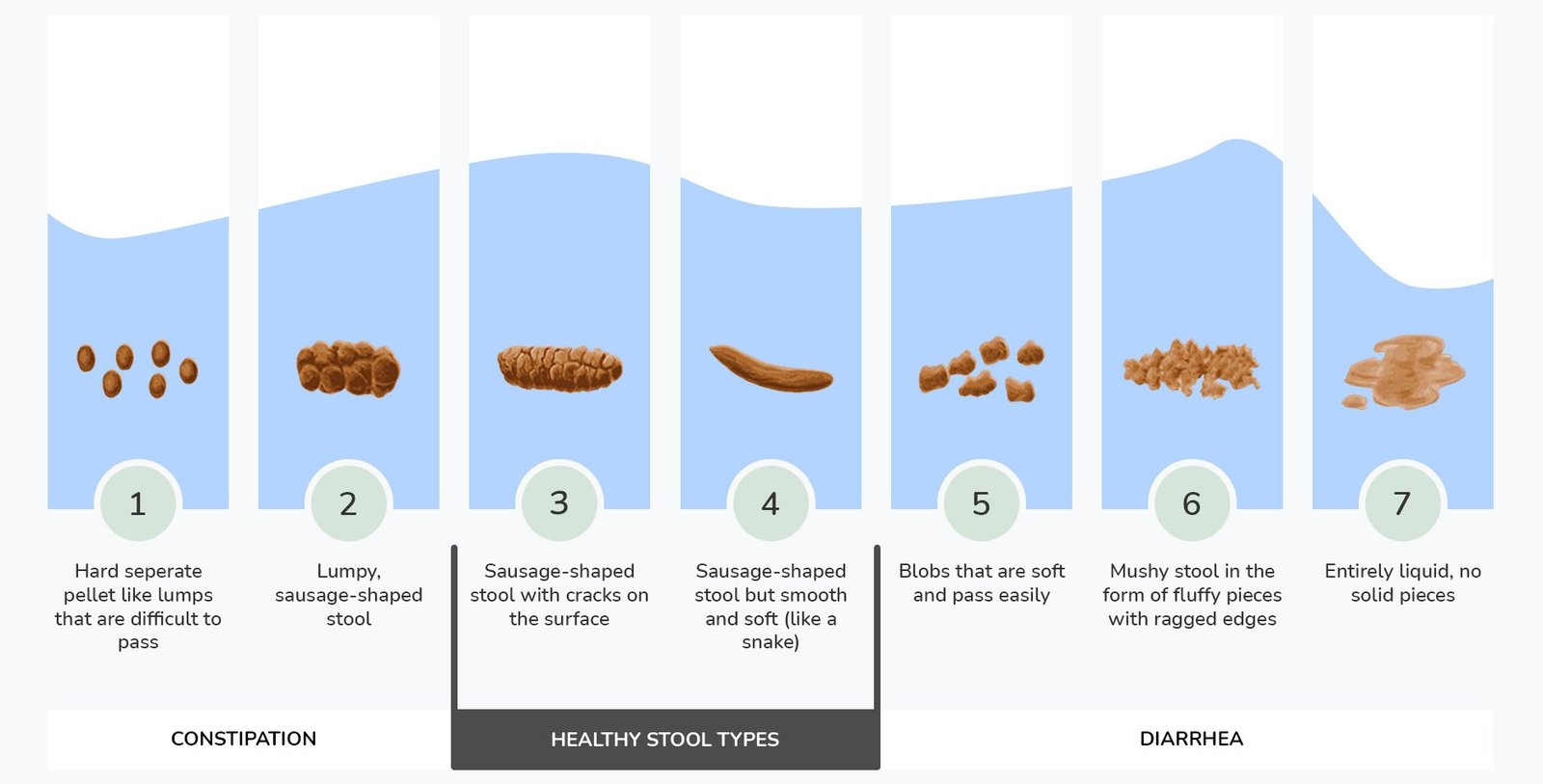 64ebcbe15eb38b96eb17ceac bristol stool chart